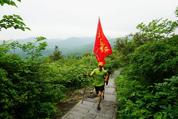 1493976268632179.jpg 15.jpg