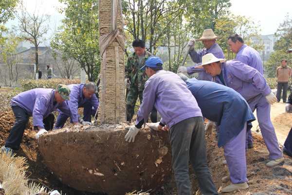 1489128960358411.jpg IMG_0242.JPG